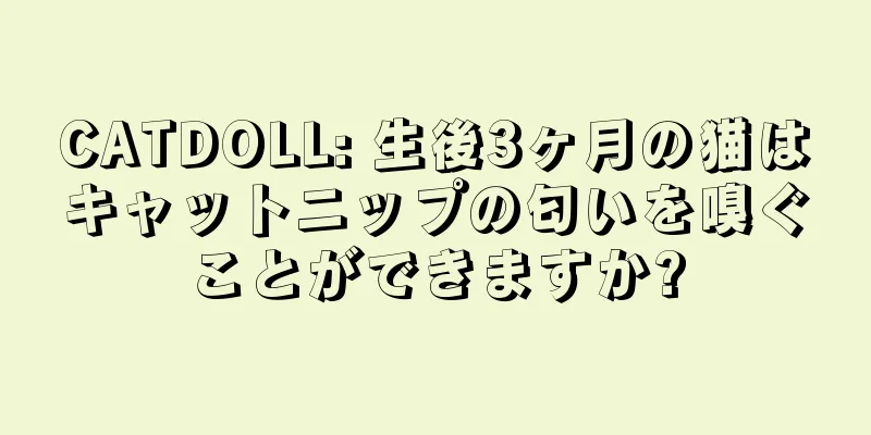CATDOLL: 生後3ヶ月の猫はキャットニップの匂いを嗅ぐことができますか?