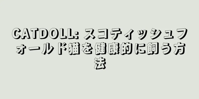 CATDOLL: スコティッシュフォールド猫を健康的に飼う方法