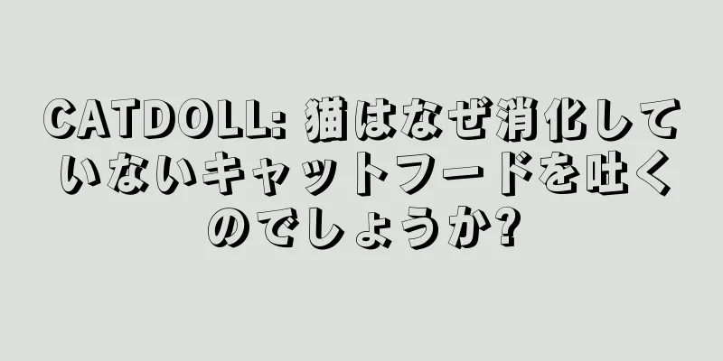 CATDOLL: 猫はなぜ消化していないキャットフードを吐くのでしょうか?