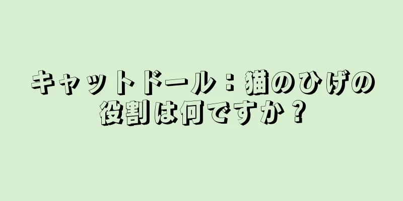 キャットドール：猫のひげの役割は何ですか？