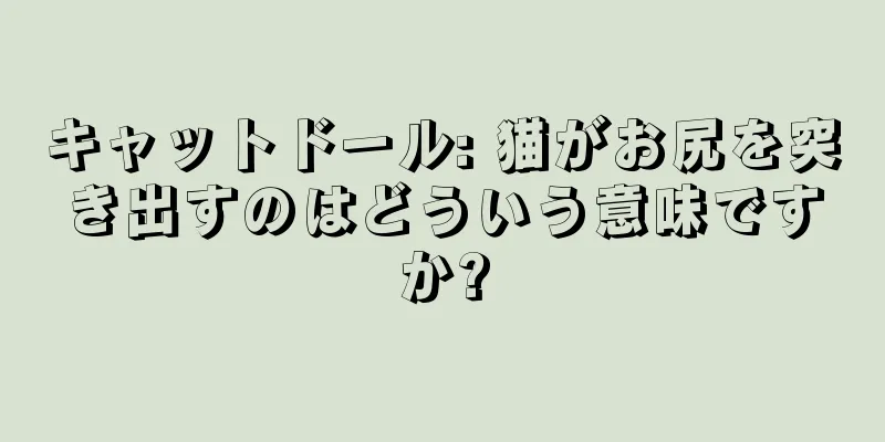 キャットドール: 猫がお尻を突き出すのはどういう意味ですか?