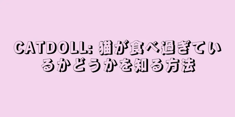 CATDOLL: 猫が食べ過ぎているかどうかを知る方法