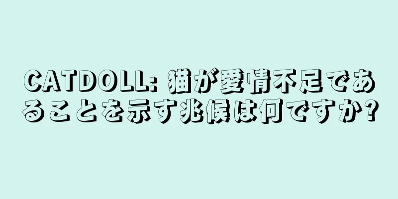 CATDOLL: 猫が愛情不足であることを示す兆候は何ですか?