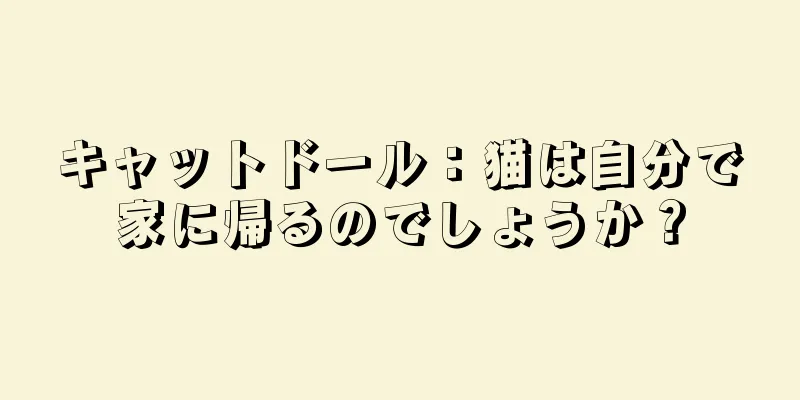 キャットドール：猫は自分で家に帰るのでしょうか？