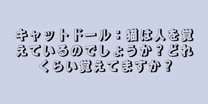 キャットドール：猫は人を覚えているのでしょうか？どれくらい覚えてますか？