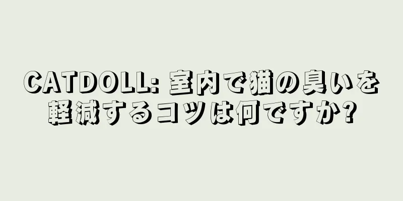 CATDOLL: 室内で猫の臭いを軽減するコツは何ですか?