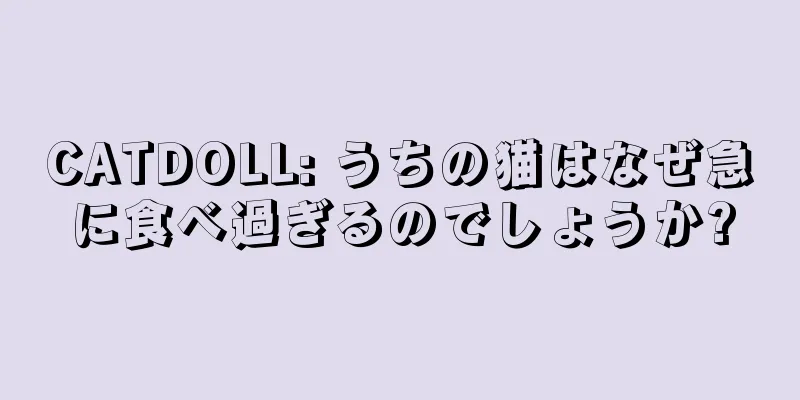 CATDOLL: うちの猫はなぜ急に食べ過ぎるのでしょうか?
