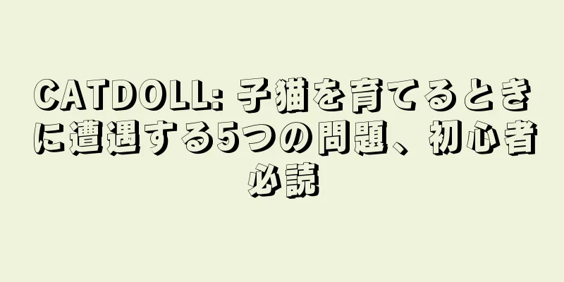 CATDOLL: 子猫を育てるときに遭遇する5つの問題、初心者必読