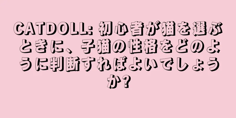 CATDOLL: 初心者が猫を選ぶときに、子猫の性格をどのように判断すればよいでしょうか?
