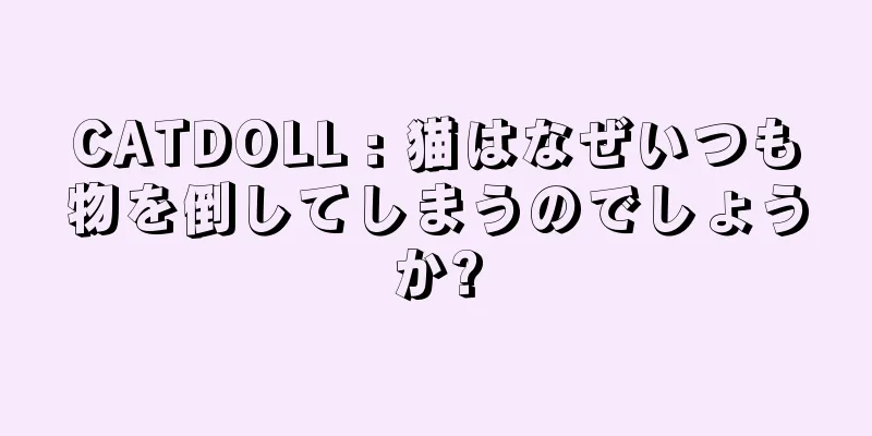 CATDOLL : 猫はなぜいつも物を倒してしまうのでしょうか?