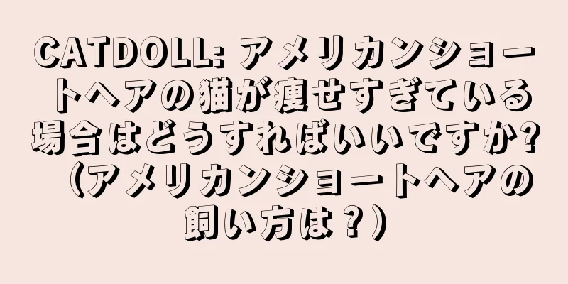 CATDOLL: アメリカンショートヘアの猫が痩せすぎている場合はどうすればいいですか? （アメリカンショートヘアの飼い方は？）