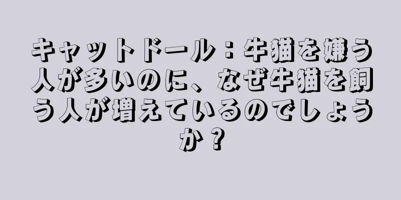 キャットドール：牛猫を嫌う人が多いのに、なぜ牛猫を飼う人が増えているのでしょうか？