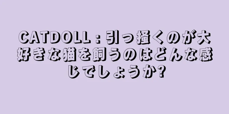 CATDOLL : 引っ掻くのが大好きな猫を飼うのはどんな感じでしょうか?