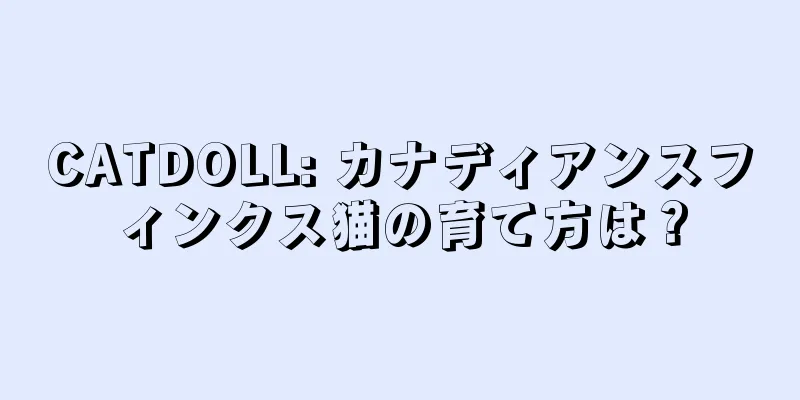 CATDOLL: カナディアンスフィンクス猫の育て方は？