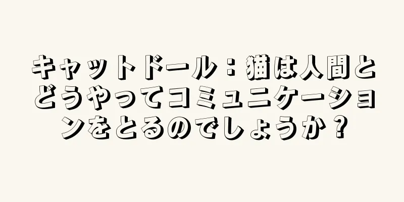キャットドール：猫は人間とどうやってコミュニケーションをとるのでしょうか？