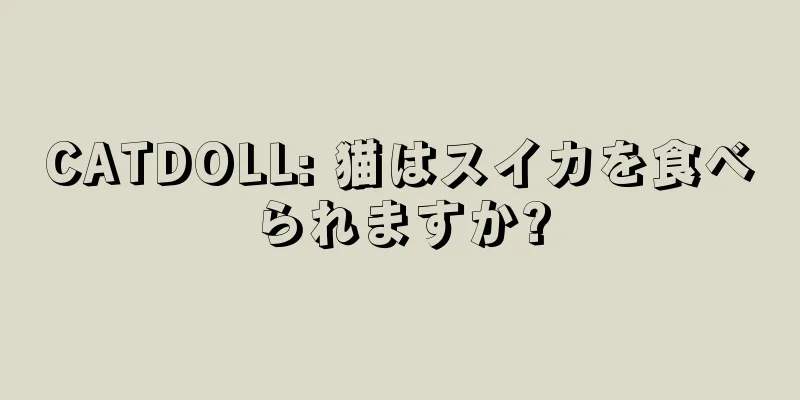CATDOLL: 猫はスイカを食べられますか?