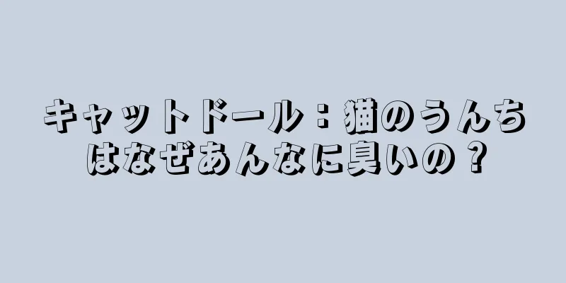 キャットドール：猫のうんちはなぜあんなに臭いの？