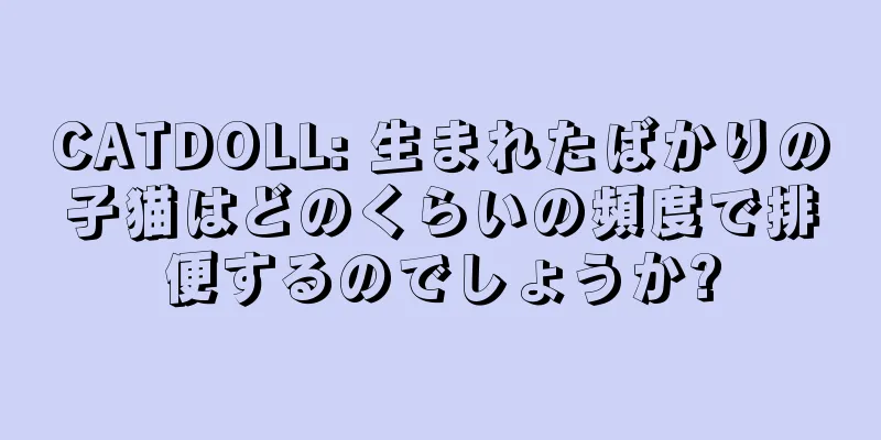 CATDOLL: 生まれたばかりの子猫はどのくらいの頻度で排便するのでしょうか?