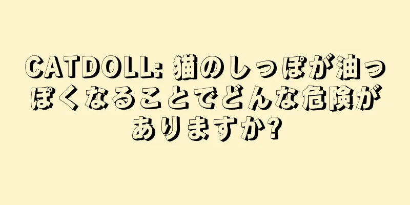 CATDOLL: 猫のしっぽが油っぽくなることでどんな危険がありますか?