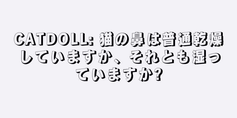CATDOLL: 猫の鼻は普通乾燥していますか、それとも湿っていますか?