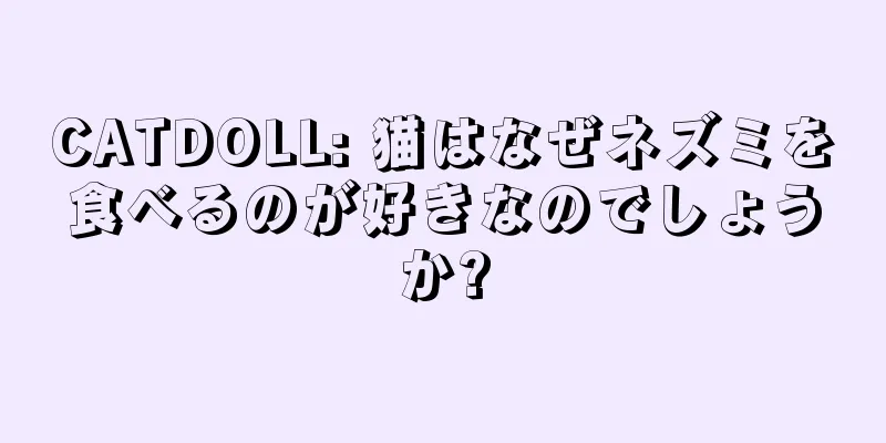 CATDOLL: 猫はなぜネズミを食べるのが好きなのでしょうか?