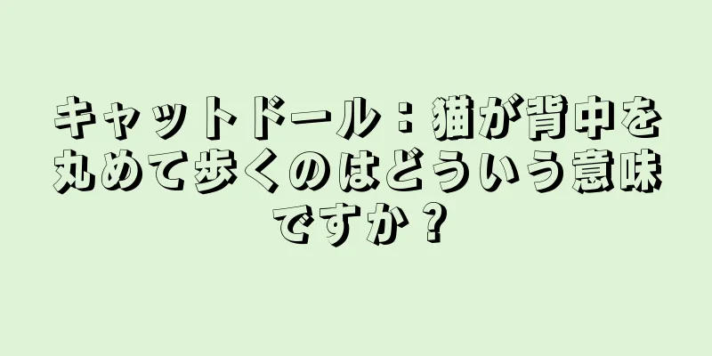 キャットドール：猫が背中を丸めて歩くのはどういう意味ですか？