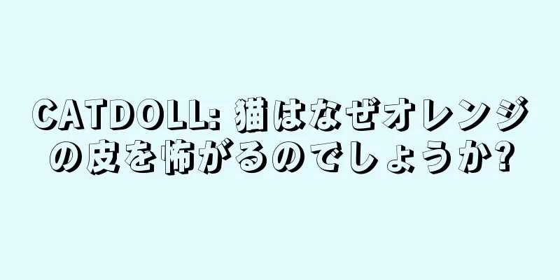 CATDOLL: 猫はなぜオレンジの皮を怖がるのでしょうか?
