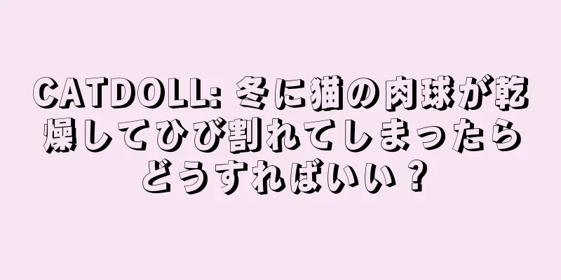 CATDOLL: 冬に猫の肉球が乾燥してひび割れてしまったらどうすればいい？