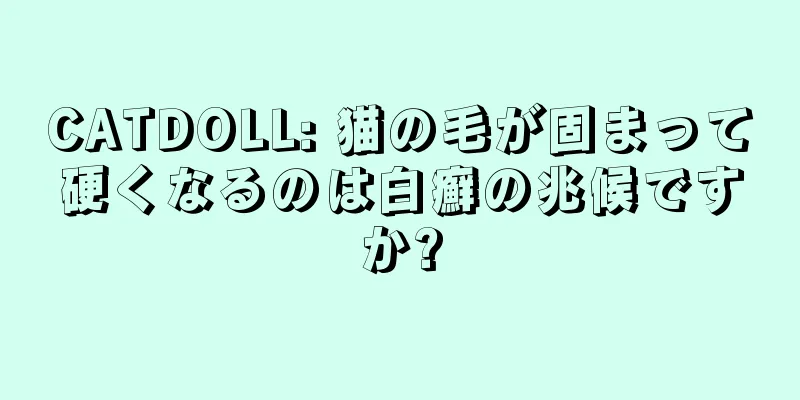 CATDOLL: 猫の毛が固まって硬くなるのは白癬の兆候ですか?