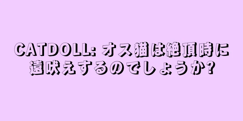 CATDOLL: オス猫は絶頂時に遠吠えするのでしょうか?
