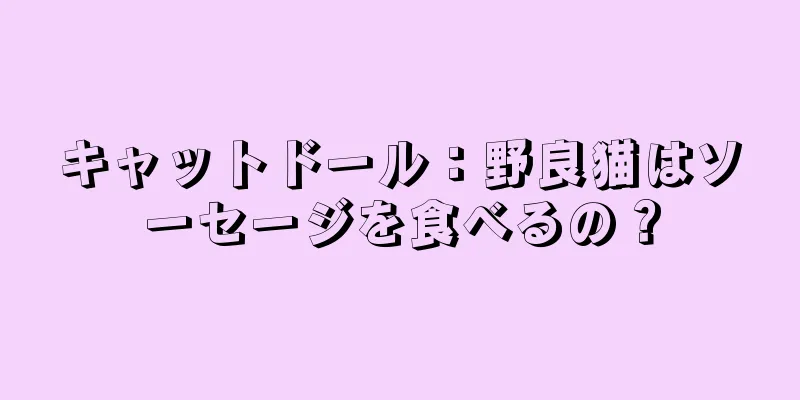 キャットドール：野良猫はソーセージを食べるの？