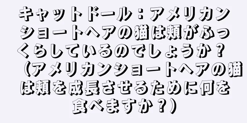 キャットドール：アメリカンショートヘアの猫は頬がふっくらしているのでしょうか？ （アメリカンショートヘアの猫は頬を成長させるために何を食べますか？）