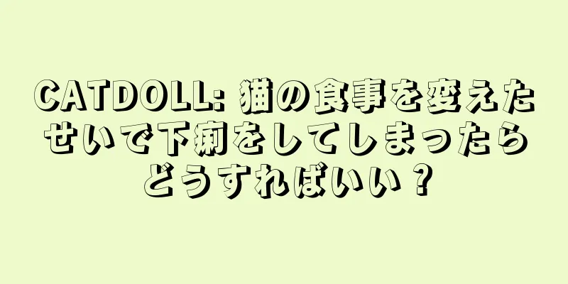 CATDOLL: 猫の食事を変えたせいで下痢をしてしまったらどうすればいい？