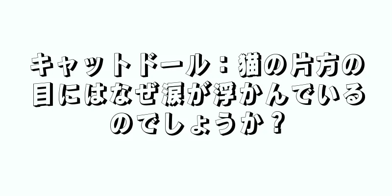 キャットドール：猫の片方の目にはなぜ涙が浮かんでいるのでしょうか？