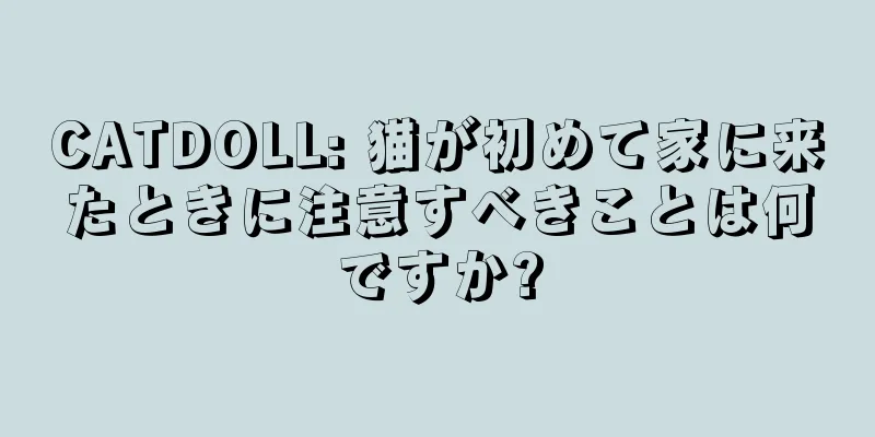 CATDOLL: 猫が初めて家に来たときに注意すべきことは何ですか?