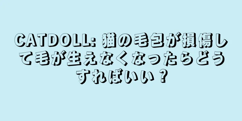 CATDOLL: 猫の毛包が損傷して毛が生えなくなったらどうすればいい？