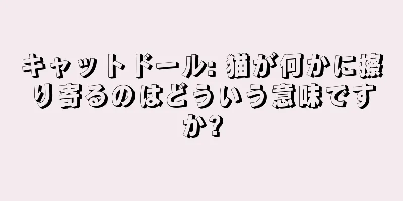 キャットドール: 猫が何かに擦り寄るのはどういう意味ですか?