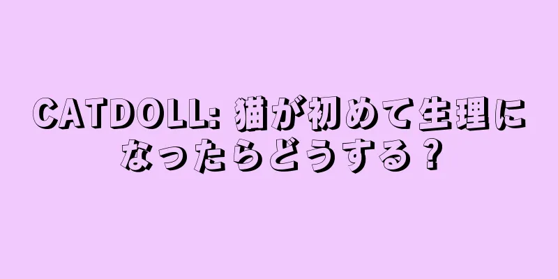 CATDOLL: 猫が初めて生理になったらどうする？