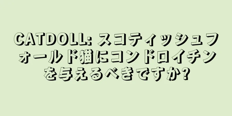 CATDOLL: スコティッシュフォールド猫にコンドロイチンを与えるべきですか?