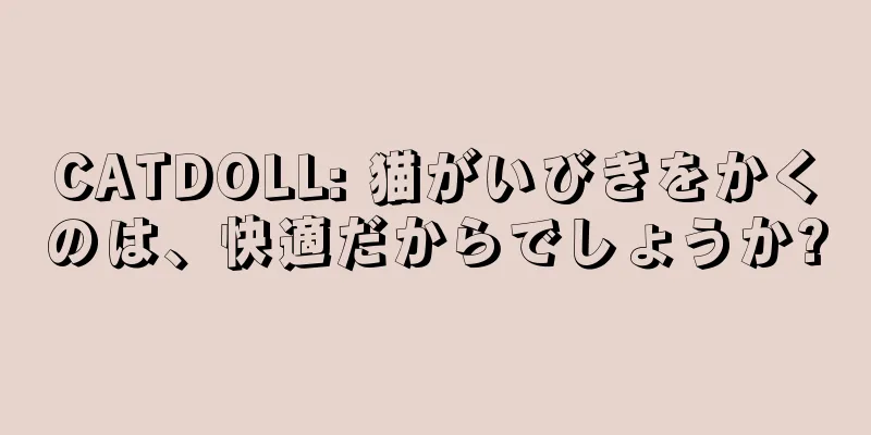 CATDOLL: 猫がいびきをかくのは、快適だからでしょうか?