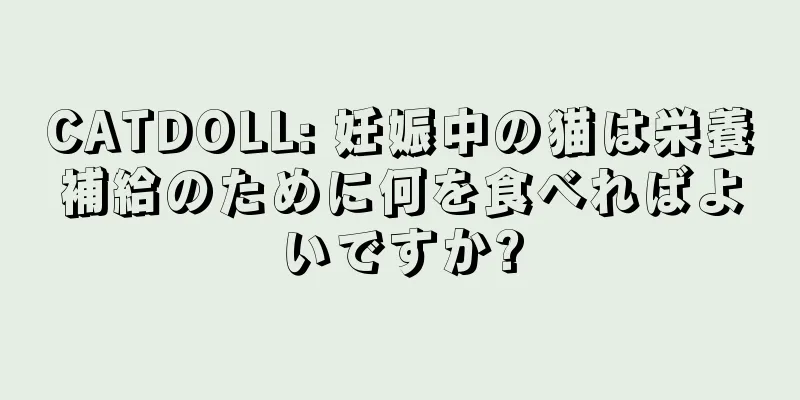CATDOLL: 妊娠中の猫は栄養補給のために何を食べればよいですか?