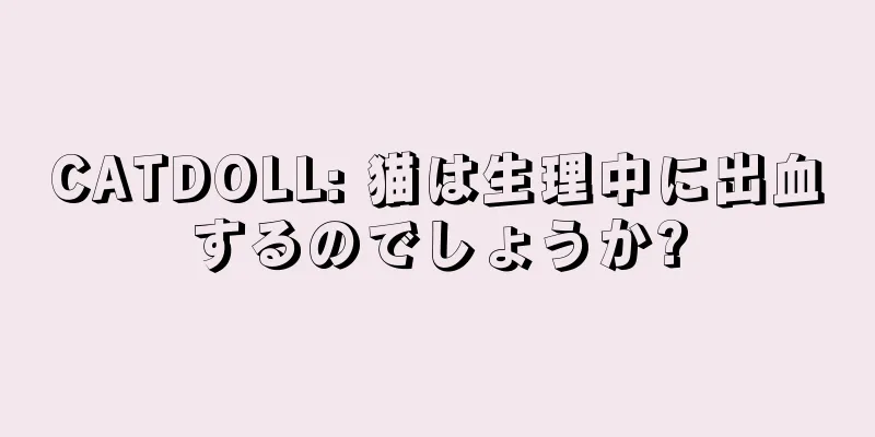 CATDOLL: 猫は生理中に出血するのでしょうか?