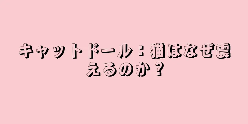 キャットドール：猫はなぜ震えるのか？