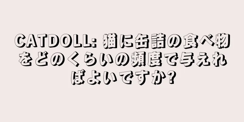 CATDOLL: 猫に缶詰の食べ物をどのくらいの頻度で与えればよいですか?