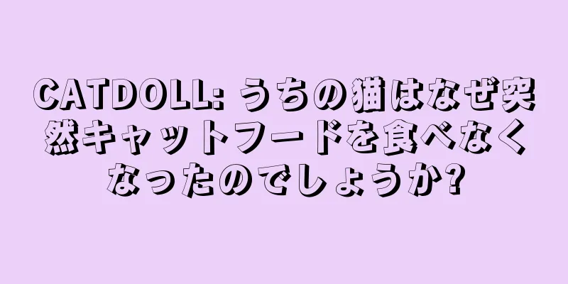 CATDOLL: うちの猫はなぜ突然キャットフードを食べなくなったのでしょうか?