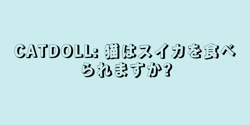 CATDOLL: 猫はスイカを食べられますか?