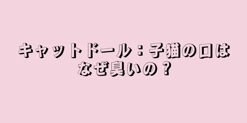 キャットドール：子猫の口はなぜ臭いの？
