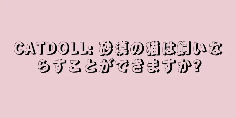 CATDOLL: 砂漠の猫は飼いならすことができますか?