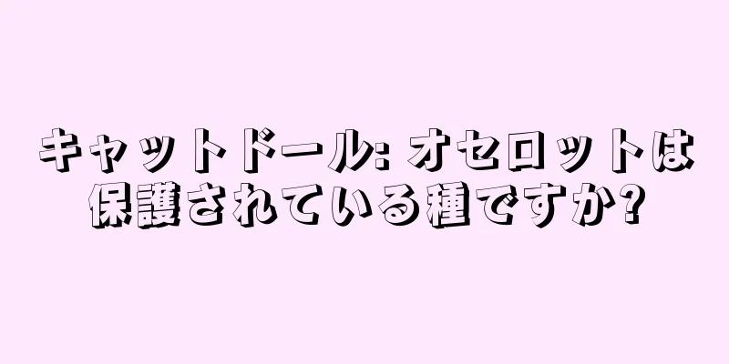 キャットドール: オセロットは保護されている種ですか?