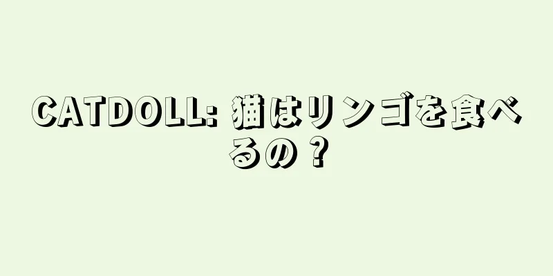 CATDOLL: 猫はリンゴを食べるの？